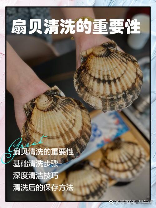 厨房正确清洗贝类去除泥沙场景