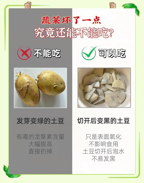 发芽发绿土豆与新鲜土豆外观对比图