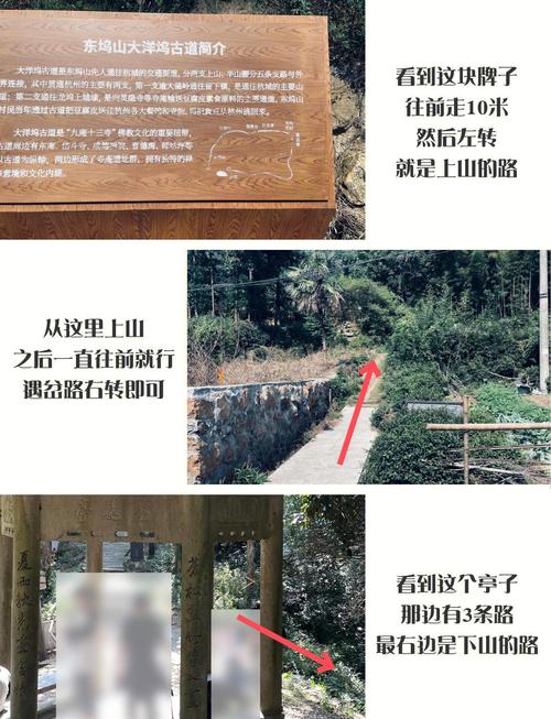 去太坪村的实用贴士