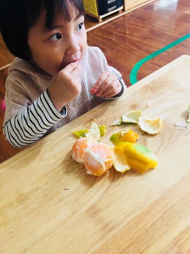 四岁幼儿自己剥橘子小手特写照片