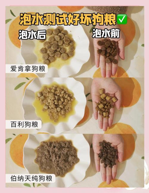 不同工艺狗粮外观对比实拍
