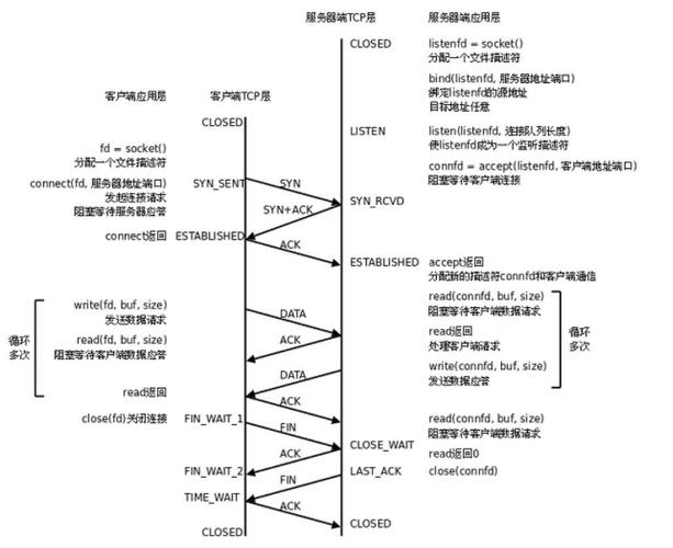 网络巨头TCP/IP协议栈优化对比图