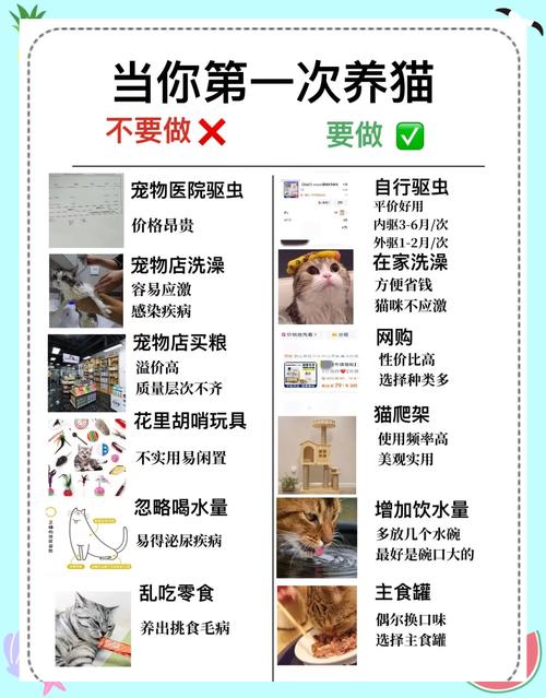 宠物喂养还有哪些容易踩的隐形坑？