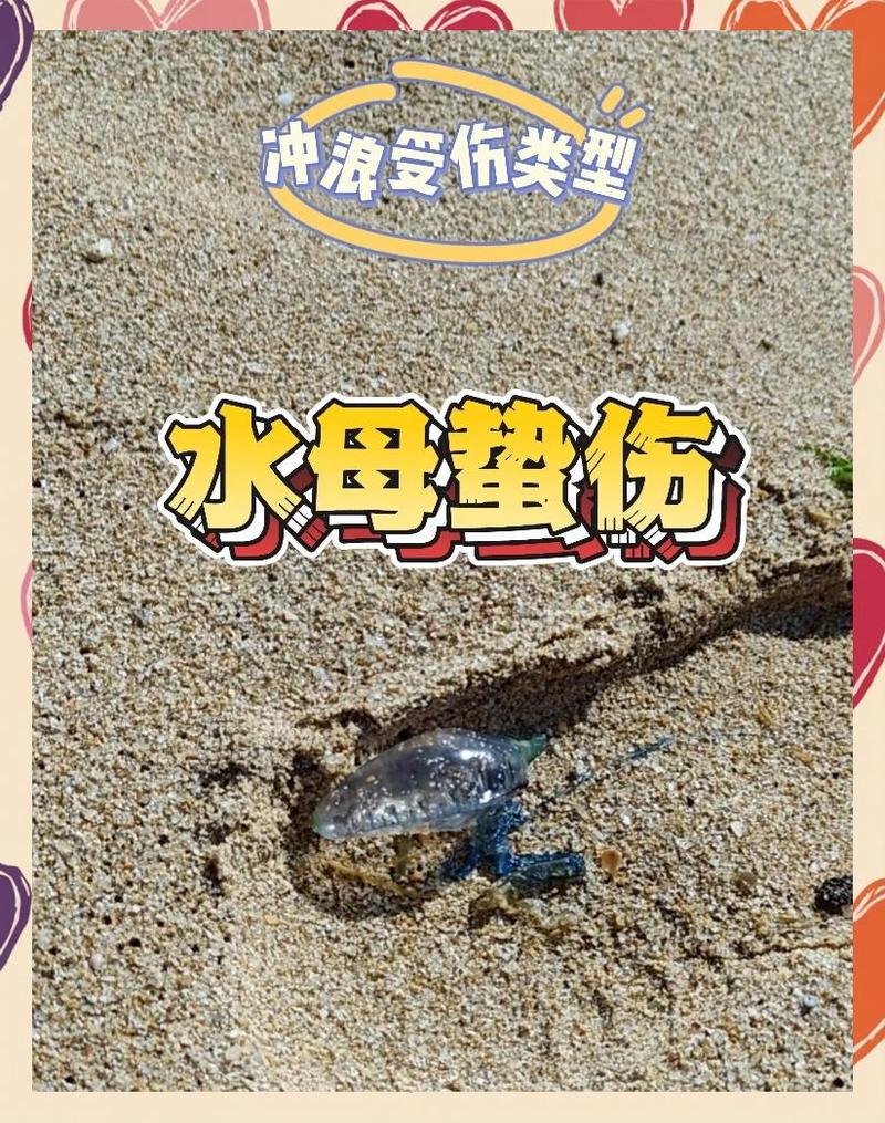 水下危机：水母蜇伤与礁石割伤处理