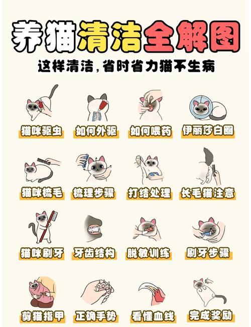 养宠家庭日常清洁消毒操作示意图