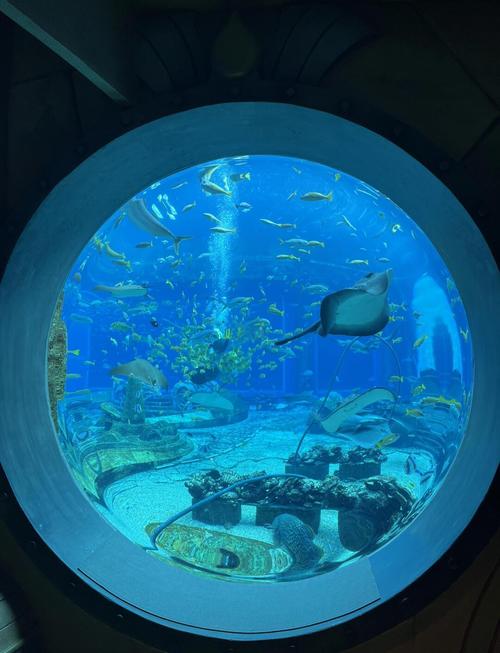 三亚亚特兰蒂斯水世界儿童浅水区