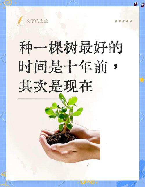 种成林，才能长久