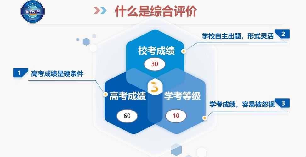 2024新高考学业多元评价标准解读表