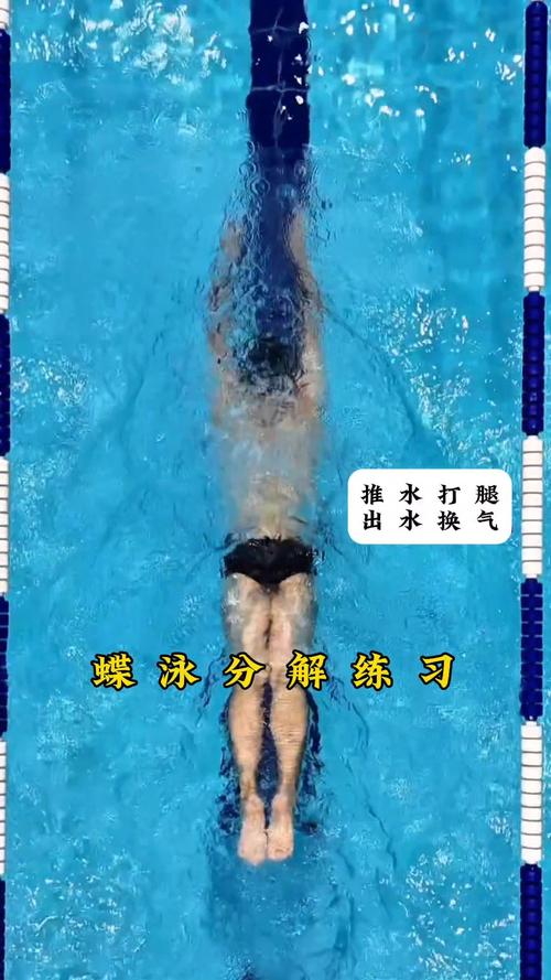 蝶泳身体波浪驱动分解动作