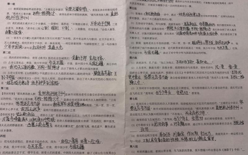 小学语文质量监测练习卷手写答题页