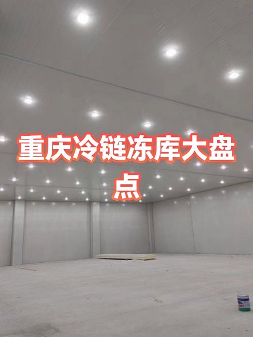 -40℃冷链冷库内翘边脱落的工业标签特写