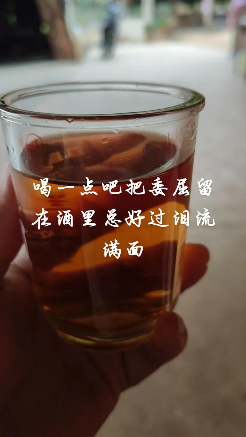 一点心情
