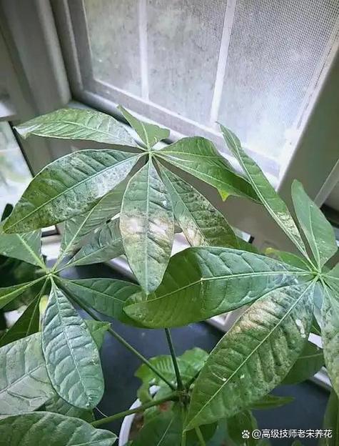 那些一定要避开的养护误区
