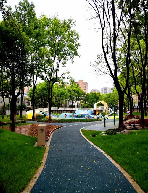 城市旧菜地改造后的口袋公园实景