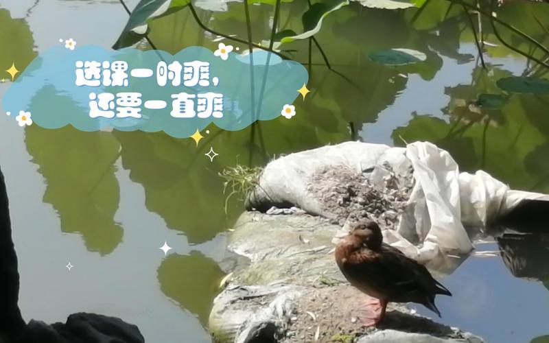 选课一时爽，一直选课一直爽？