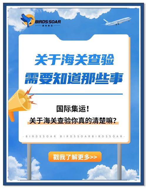真被海关查到了，怎么把损失降到最小