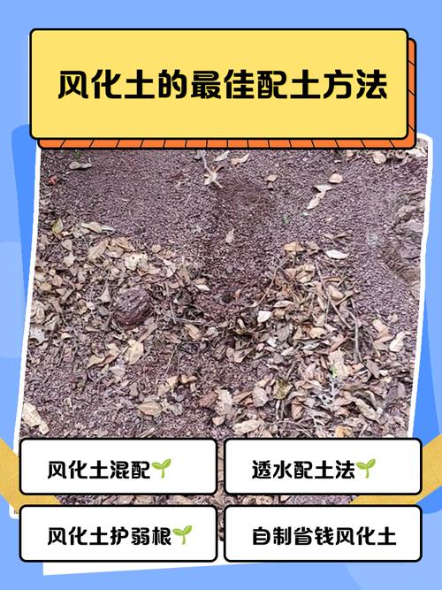 二、这些土办法其实挺好用