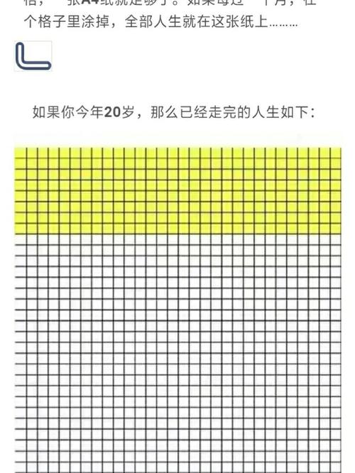 拿一张A4纸举例:它的一生
