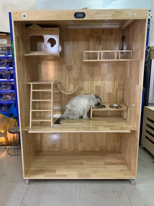 家用豪华猫爬架堆满快递盒猫蹲冰箱顶
