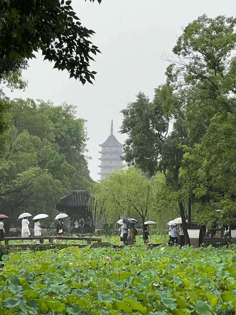 苏州拙政园雨后湿润的青石板小径