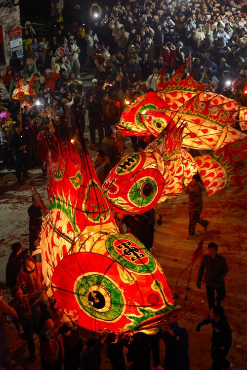湖北南漳五鱼闹年夜游鱼灯现场