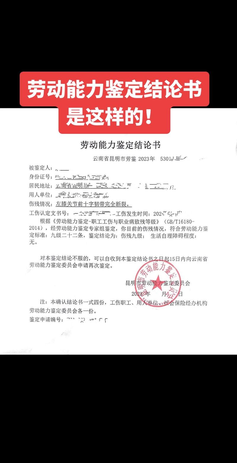 工伤劳动能力鉴定结论书样本