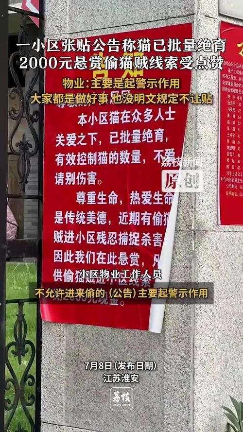 没人会偷猫，但有人会偷所有能卖钱的数字碎片