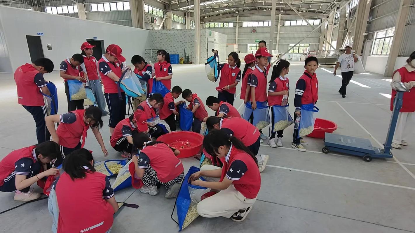 中学生社区创业项目实践
