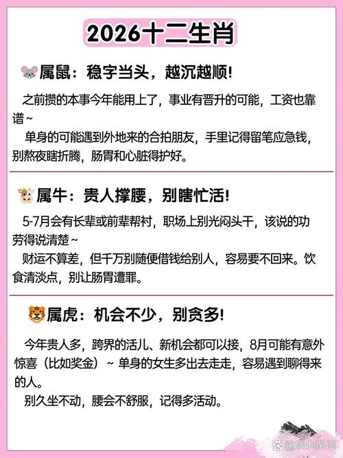 2026年怎么选：照着你的情况对号入座