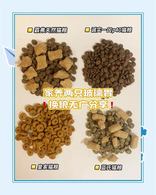 玻璃胃猫咪换粮期排便观察记录表