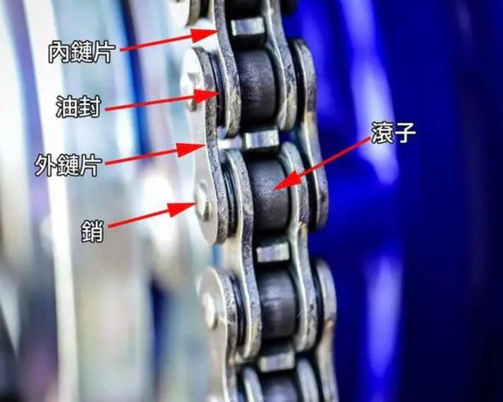 包装机械传动链条异响检查点示意图