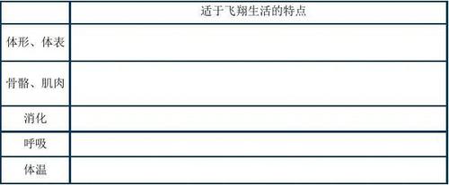 二、河北的“便宜货”与广东的“技术控”