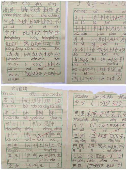 山区转学生写在田字格本上的歪扭仿写作文