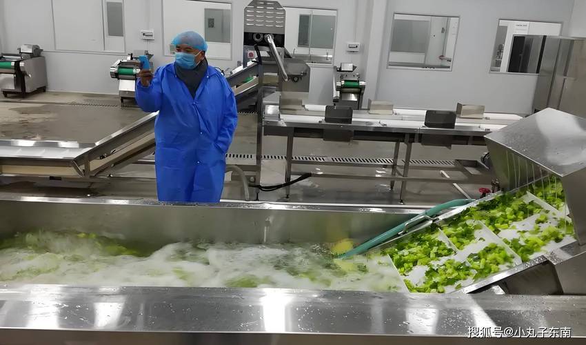 食品工厂均质机维护消毒操作现场图
