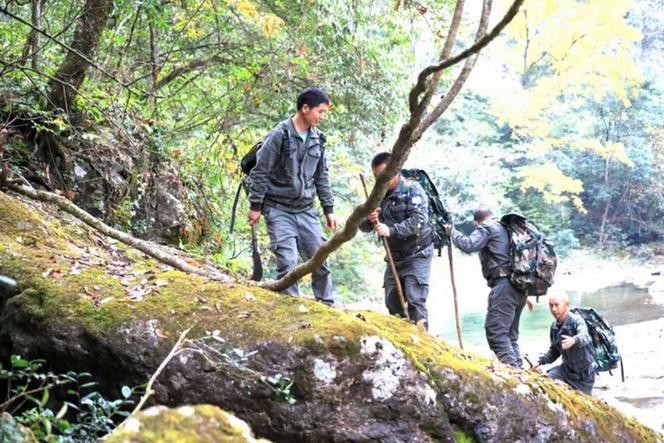 梵净山护林员蹲在铁索旁清理废弃同心锁