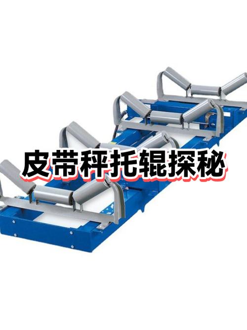 皮带秤称重托辊精度检测图