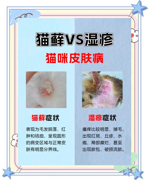 健康猫与皮肤屏障受损猫的皮肤真菌定植对比图