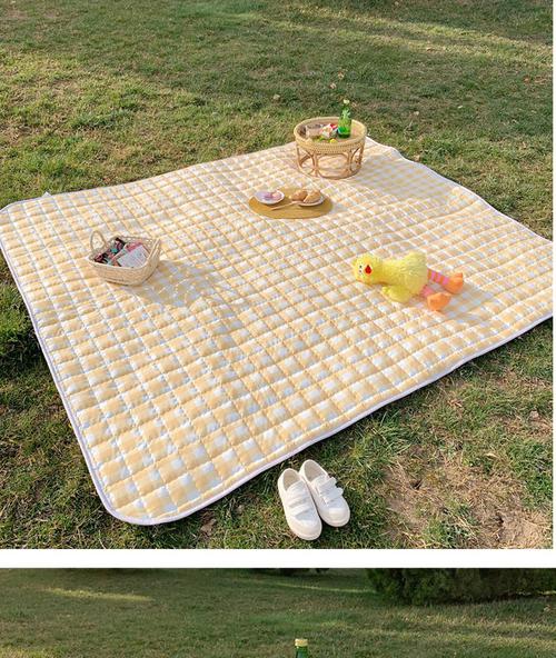 户外野餐结束清洁野餐垫实拍