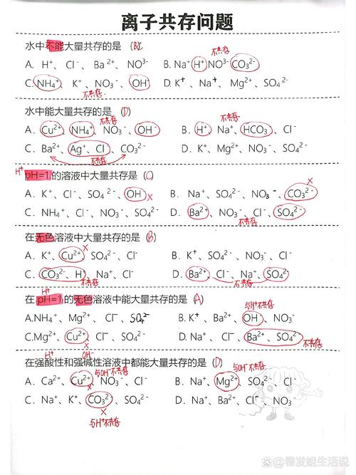 初中化学离子共存错题整理实拍图