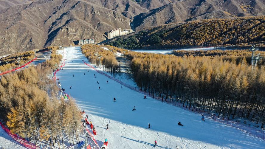 崇礼万龙滑雪场树林野雪区