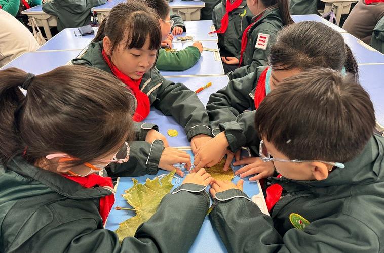 小学跨学科主题课学生围坐讨论落叶作品