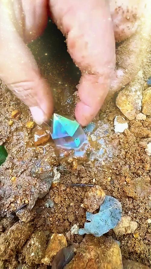 冷门课里常常能挖到宝