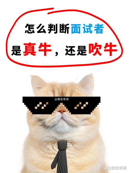 📌 面试时吹过的牛，终将在入职后啪啪打脸
