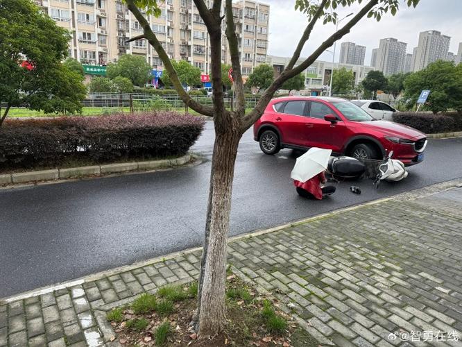 雨天电动车避让流浪狗蹭到路边机动车现场图
