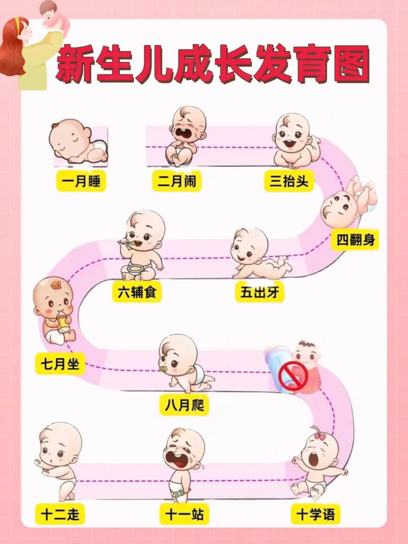 儿童成长报告拆解示意图