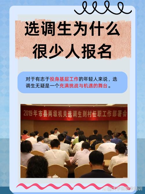 选调生和人才引进：看不见的护城河