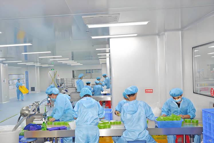 食品制药车间GMP工业清洁作业现场图