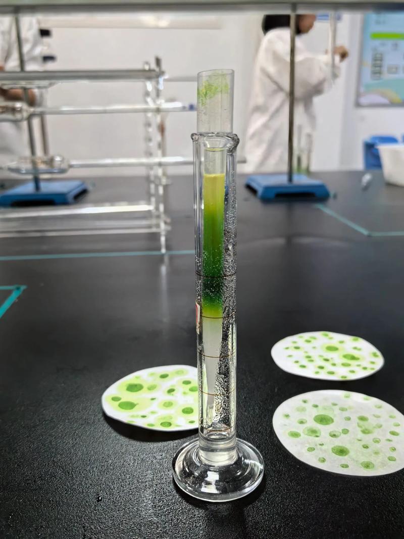 绿植净化能力对比实验图