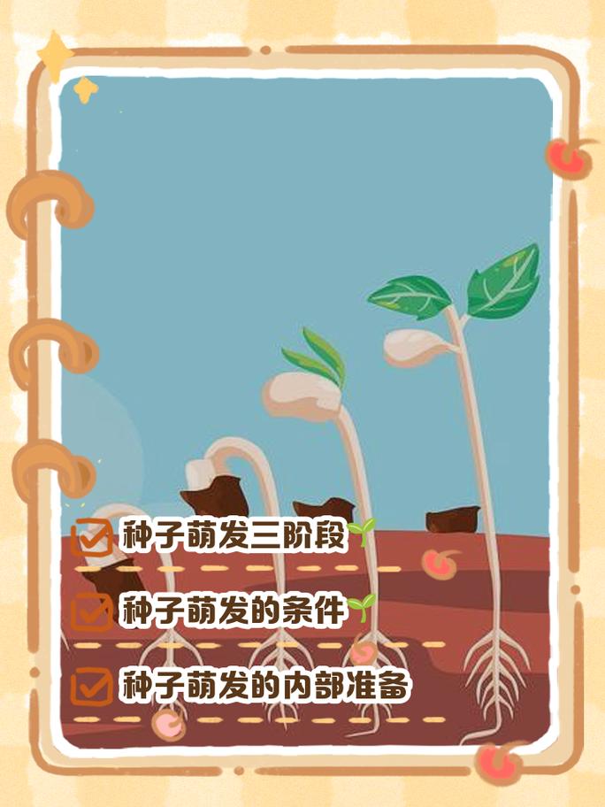 三、素材的二次发酵,让旧东西发出新芽