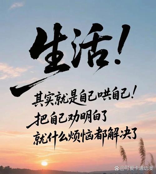 乱是生活的常态，舒服才是最终的答案